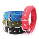PETX Nylon Collar for Dogs and Puppies