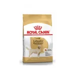 Royal Canin Dog Food for Labrador Retriever Adult