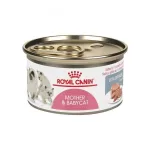 Mother and Baby Cat Ultra Soft Mousse