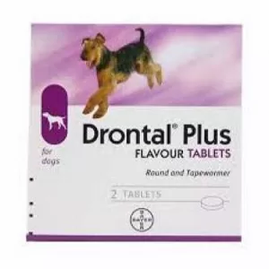 Drontol Tab Dog Made In Thailand